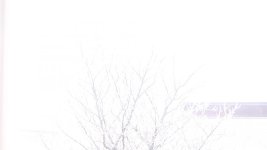 avchd to unc winter.jpg