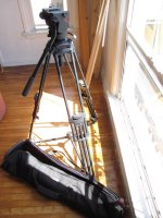 IMG_0254.jpg