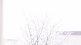 dnxhd winter.jpg