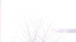 unc winter.jpg