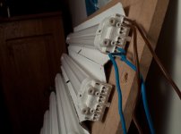light-5.jpg