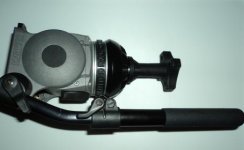Head side.jpg