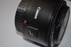 CANON5.jpg