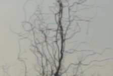 negative3.jpg negative3.jpg