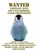 Penguin.jpg