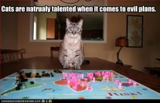 db820_ORIG-funny_pictures_cat_has_evil_plans.jpg db820_ORIG-funny_pictures_cat_has_evil_plans.jpg