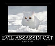 cat-assassin-evil-snow-demotivational-poster.jpg cat-assassin-evil-snow-demotivational-poster.jpg