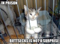 a585c_ORIG-LolCatRenderer_30.jpg a585c_ORIG-LolCatRenderer_30.jpg