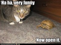 878e7_ORIG-funny_pictures_cat_asks_for_turtle_to_be_opened.jpg 878e7_ORIG-funny_pictures_cat_asks_for_turtle_to_be_opened.jpg