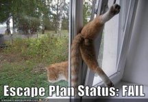 59010-EscapePlanFail.jpg 59010-EscapePlanFail.jpg