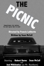 ThePicnic1.jpg