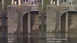 AF101_GH2_Comparison.jpg
