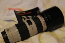IMG_5306.jpg