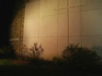 DVX 3.jpg