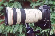300mm_lens.jpg