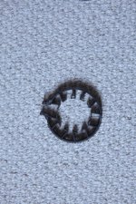 IMG_2169.jpg