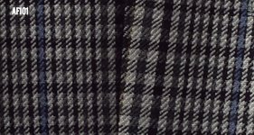 AF101.jpg