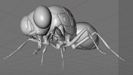 fly38_unfinished.jpg