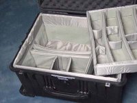 Pelican5.jpg