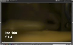 i100f14.jpg