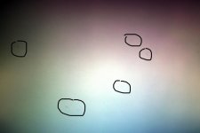 sensor spots.jpg sensor spots.jpg