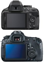 back-view.jpg