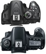 top-view.jpg
