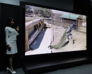 8K Plasma.jpg