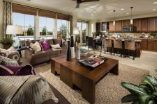 Iriana-P5_Family Room to Kitchen.jpg