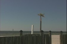 sunnyday60i.jpg
