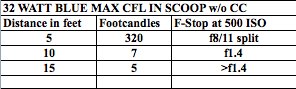 32 WATT BLUE MAX CFL IN SCOOP w:o CC.jpg 32 WATT BLUE MAX CFL IN SCOOP w:o CC.jpg