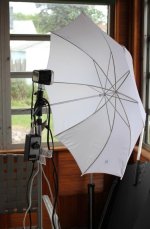 Pocket 650 Umbrella cropped .jpg Pocket 650 Umbrella cropped .jpg
