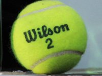 IMG_6146-center-wilson.jpg