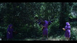 purple.jpg