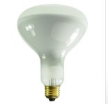 bulb photo.jpg bulb photo.jpg