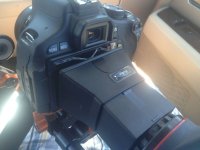 IMG_1236.jpg