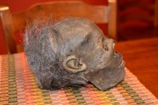 MummyHead1.jpg MummyHead1.jpg