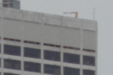 CANON-55-250-IS-@-55-CROP.jpg