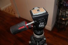IMG_0461.jpg