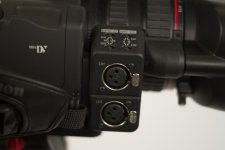 IMG_9979.jpg