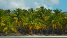 Saona-4.jpg Saona-4.jpg