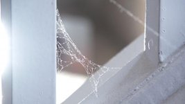 vlcsnap-2012-05-14-18h11m43s96.jpg vlcsnap-2012-05-14-18h11m43s96.jpg