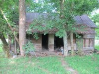 IMG_9252.jpg