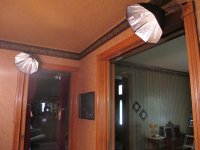 IMG_9262.jpg