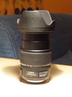 DSC06758.jpg