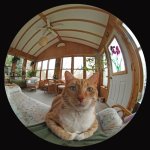 CircularFisheye.jpg CircularFisheye.jpg