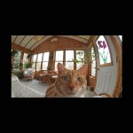 CropFishEye.jpg CropFishEye.jpg