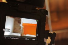 evf.jpg
