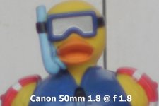 Canon-f-1.8.jpg