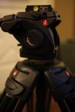 IMG_6437.jpg